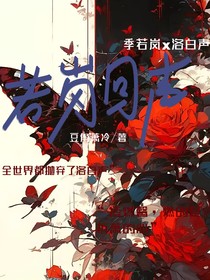 若岚回声