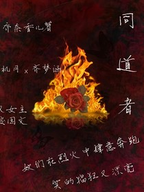 同道者