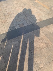 嘔吐家族