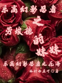 乐高幻影忍者之劳埃德的妹妹
