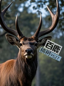 百鹿鸣，一人行