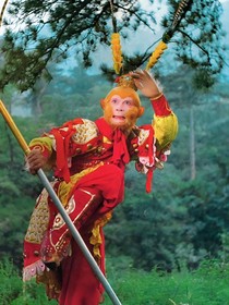 穿越到西游