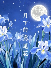 月光下的鸢尾花（言情虐文）