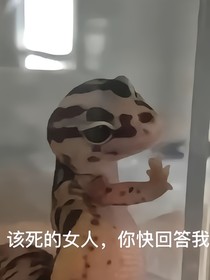 宣传群而已