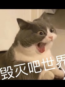 压力很大我在发疯中