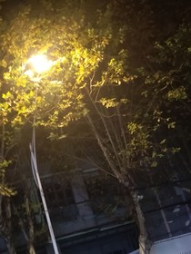 周与逸
