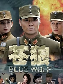 苍狼之秘密