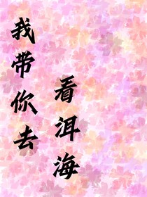 我带你去看洱海
