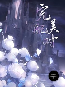 完美配对