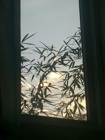 叶罗丽精灵梦之我的救赎