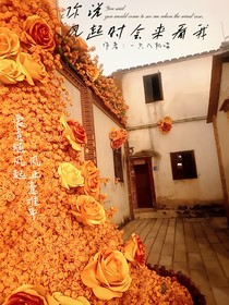 你說(shuō)風(fēng)起時(shí)會(huì)來(lái)看我