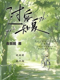 过客知夏