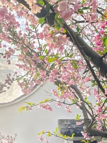 若你我長存-d515