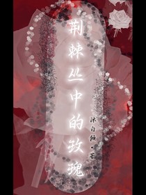 Constellation：荆棘丛中的玫瑰