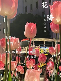 花海起舞