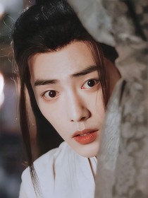 陳情令：瀾月無羨
