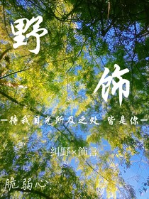 雙男主：野飾