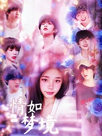 TF家族四代：情如梦境