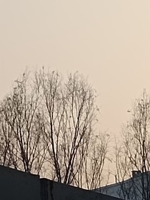 姚姚的吐糟日记