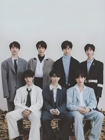 TNT：恋与师妹