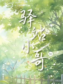 驿站小哥