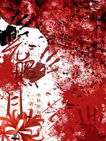光照月