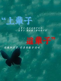 上辈子，这辈子