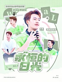 王昶：永恒的日光