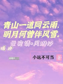 青山一道同云雨，明月何曾伴风雪
