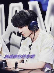 馬嘉祺：跨越峽谷的救援