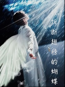 被折斷翅膀的蝴蝶