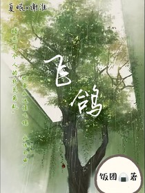 飞鸽1