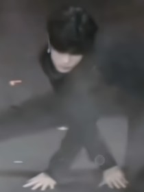 all苏仆人