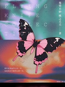 飞刀集