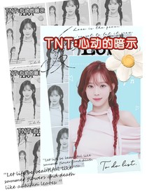 TNT：心動(dòng)的暗示
