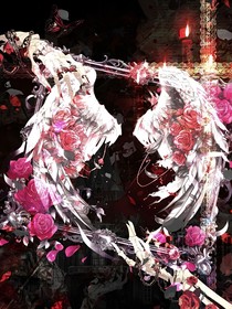 南岸轮回
