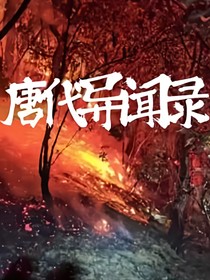 唐代异闻录
