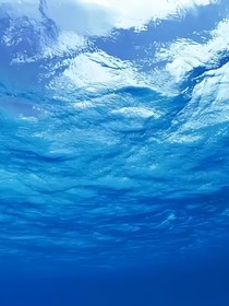 海洋危机