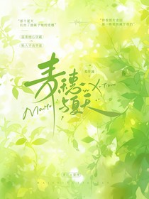 麦穗与夏天