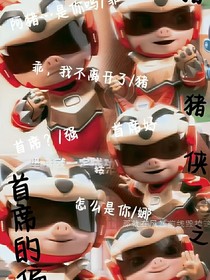豬菲之首席的偏愛