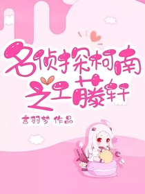 名侦探柯南之工藤轩