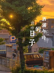 洒满午时的日子