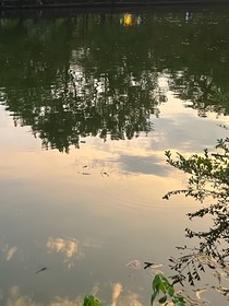 文軒：臨秋