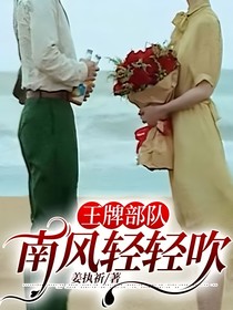 王牌部队：南风轻轻吹