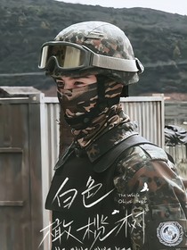 综影视：世上难得两全法