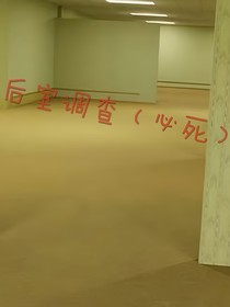 后室调查小组