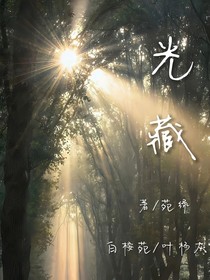 光藏意