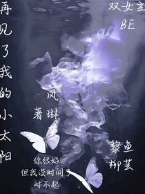 再见了，我的小太阳