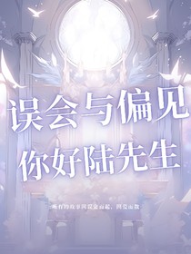 误会与偏见：你好陆先生