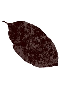 我织出来的梦